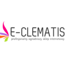 logo_e_celemntis